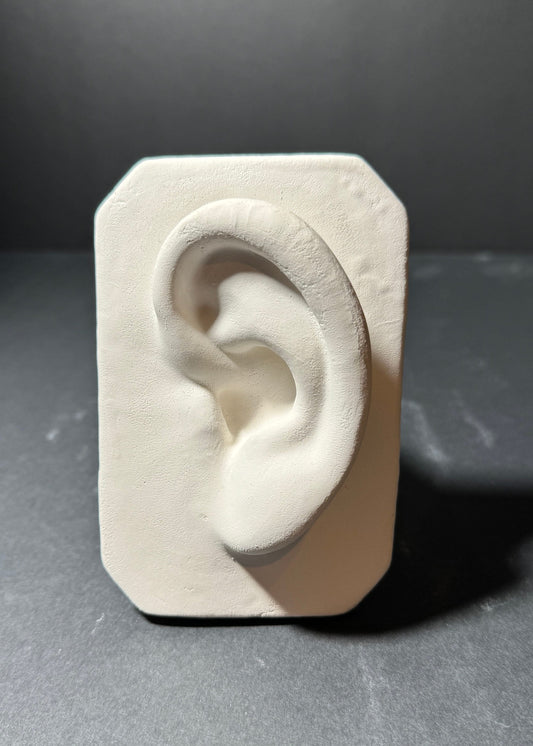 Referencia básica del arte del yeso del oído, escultura hecha a mano para artistas