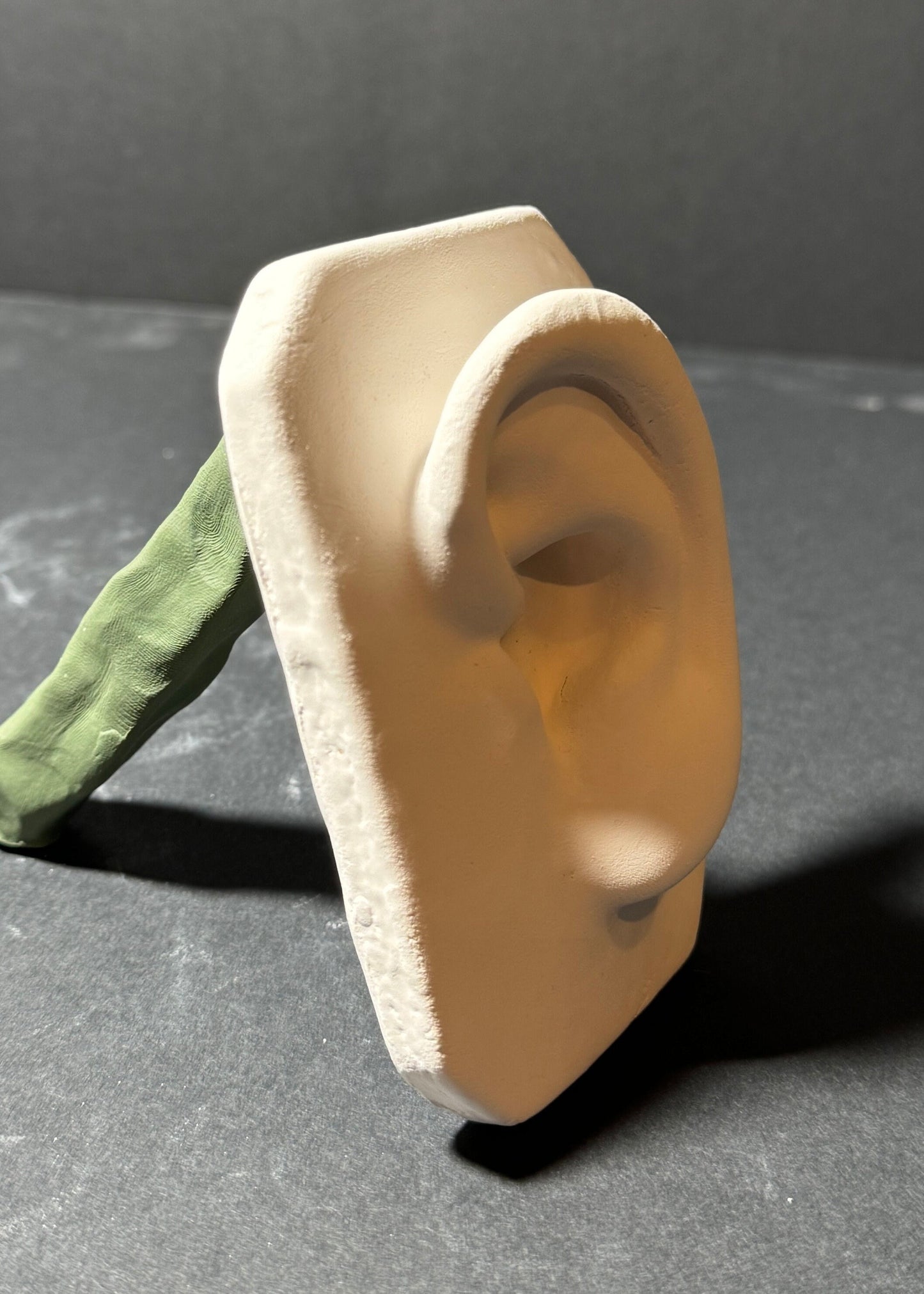 Basic Ear Plaster Cast Art Reference, Handmade Sculpture for Artists